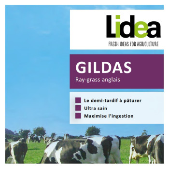 RGA 4N 1/2 GILDAS, Ray-grass Anglais