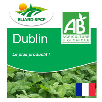 Trèfle blanc inter. DUBLIN Bio