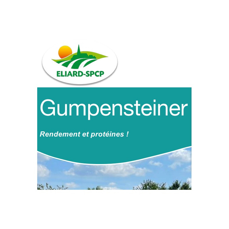 RGH 2N Bio GUMPENSTEINER, Ray-grass Hybride Bio