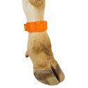 02116-Bracelet de marquage en PVC - Orange