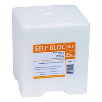 PIERRE DE SEL PUR CARREE 25 KG