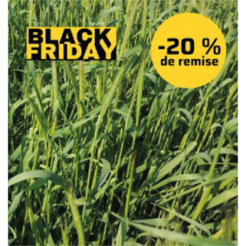 Seigle fourrager POWERGREEN 