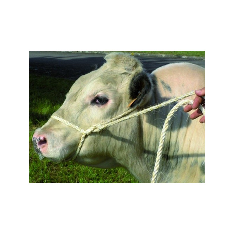 LONGE MIXTE PP SISAL