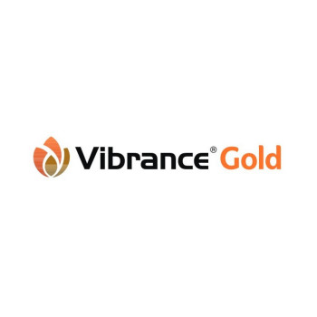 VIBRANCE GOLD