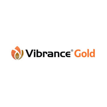VIBRANCE GOLD