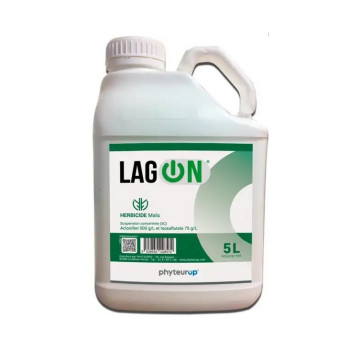 LAGON