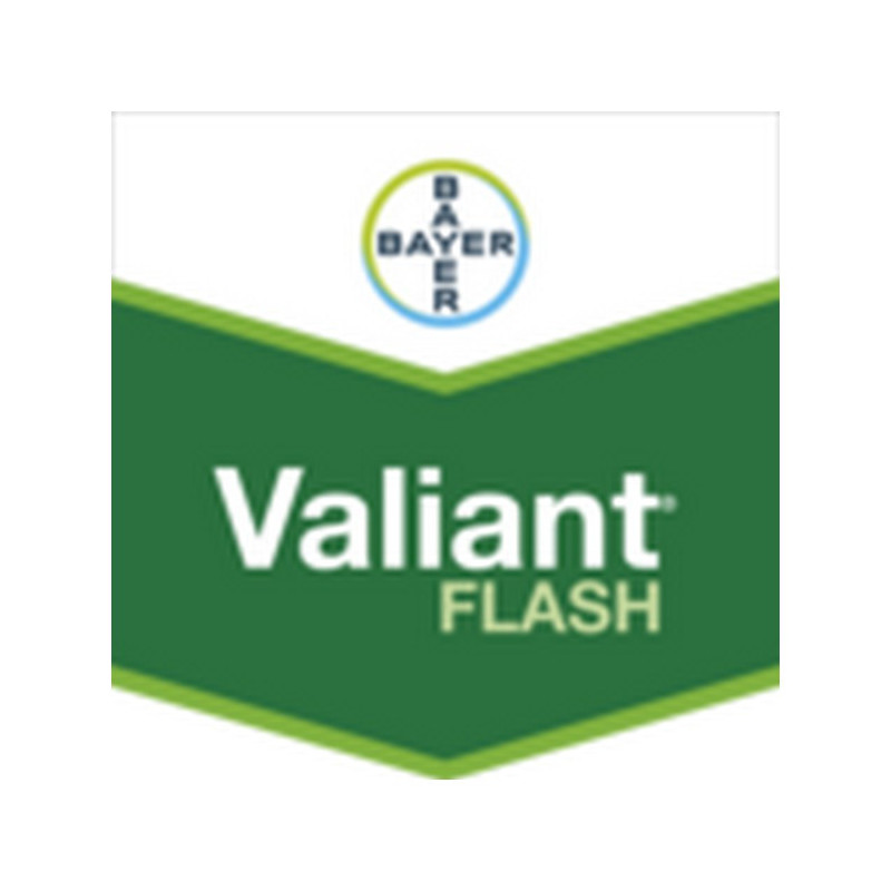 VALIANT FLASH