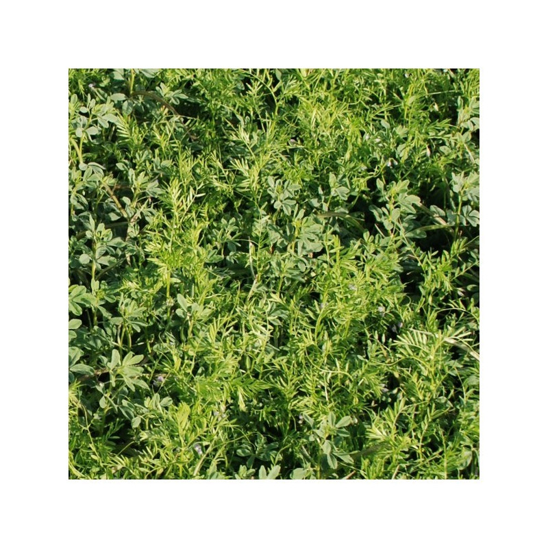 Mélange PARTNER Duo FL