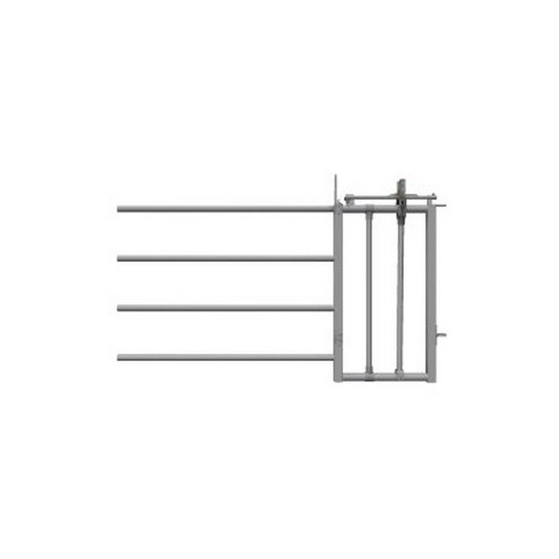 AVANT DE STABULATION AVEC CORNADIS D'INSEMINATION