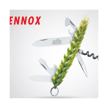 Blé printemps LENNOX