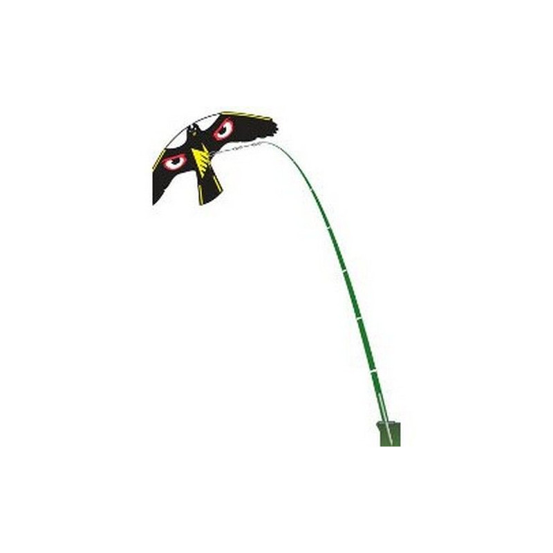 CERF VOLANT ŒIL NOIR BRILLANT + PIVOT