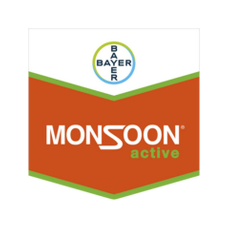MONSOON ACTIVE