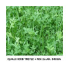 Mélange QUALI HERB' TREFLES
