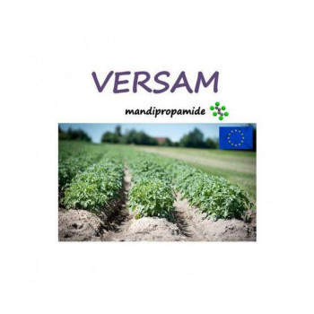 VERSAM