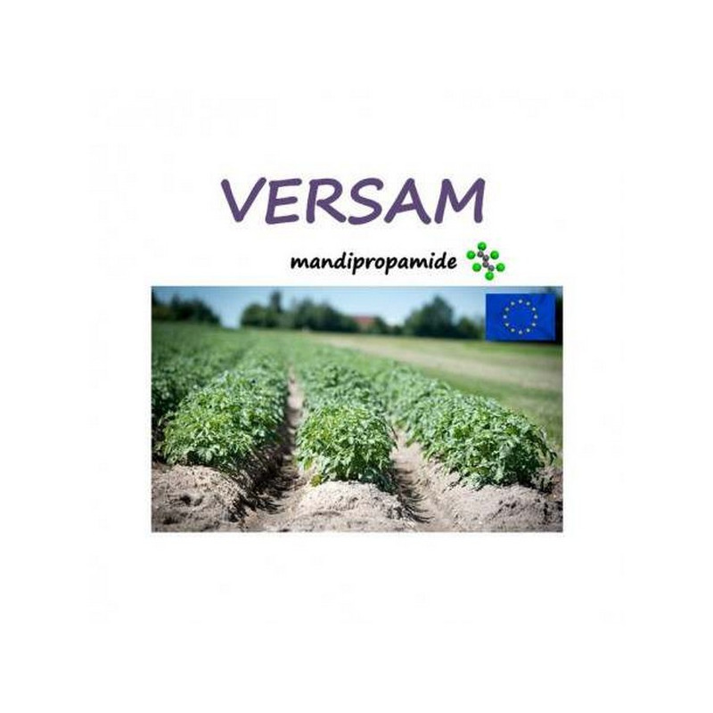 VERSAM