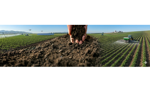 QUEL CHOIX ÉCONOMIQUE POUR LES ENGRAIS DE FOND ET NPK ?